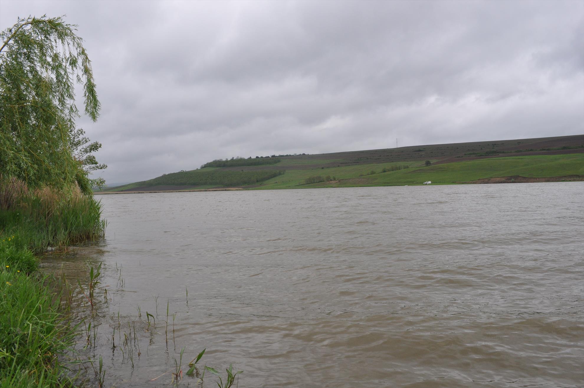 Horgesti 2017 - dsc0098.JPG